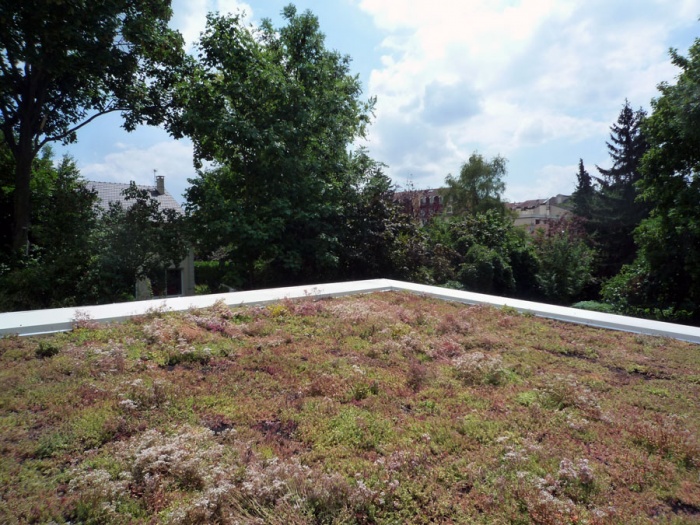 Extension et r�novation � Montmorency : P1020942