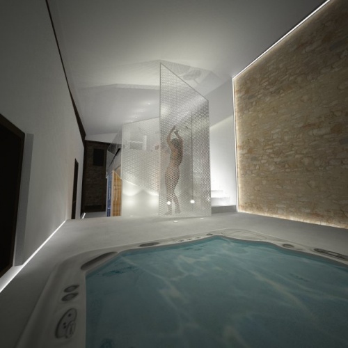 EXTENSION D'UNE GRANGE pour cr�ation d'espace bien �tre : SPA JACUZZI