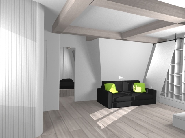 Sous les to�ts Paris 9�me : NERO VERDE